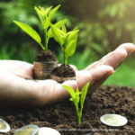 მდგრადი ბიზნესი