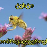 ბიომრავალფეროვნება